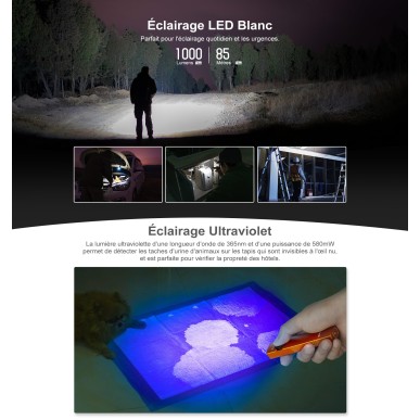 Olight - Arkfeld UV | Lampe EDC avec Éclairage Ultraviolet - Vert OD