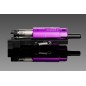 Gate - Pulsar D HPA engine Dual-solenoid avec FCU TITAN II Bluetooth® EXPERT for V2 GB - Câblage Arrière