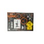 Evolution International - Planche de stickers - Viper